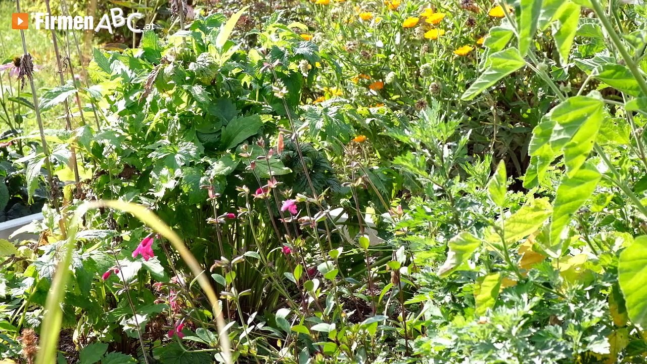 Manu's Früchteküche by KURTART Catering in St. Veit – Ihr Onlineshop mit Marmeladen, Chutneys u.v.m.