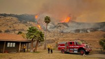 Fast-Moving Alisal Fire Threatens Santa Barbara, Prompting Evacuations