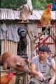 funny videos  comedy video_ prank video _funny videos 2021_ Chinese comedians Part 11