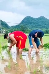 funny videos  comedy video_ prank video _funny videos 2021_ Chinese comedians Part 5