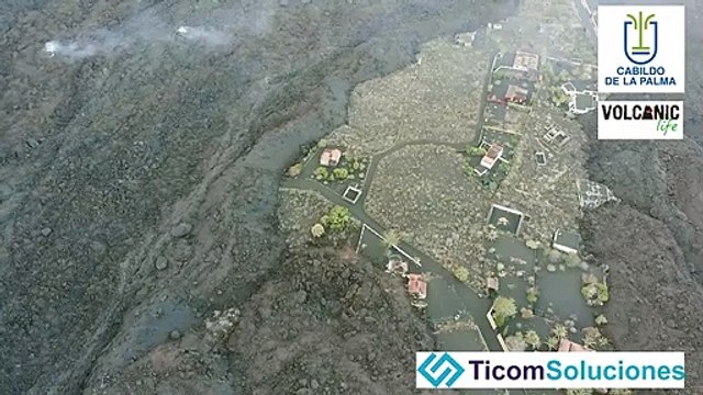 Elevan a cuatro los perros atrapados en estanques debido a la lava en La Palma