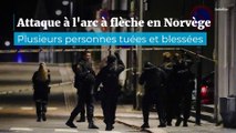 Drame en Norvège : plusieurs personnes tuées par un homme armé d'un arc et de flèches