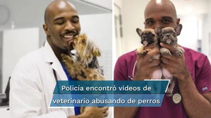 Dan 21 años de prisión a veterinario de EU tras grabarse abusando de perros