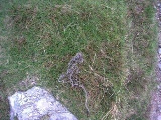 Montagne St Patrick - Conemara - Irlande