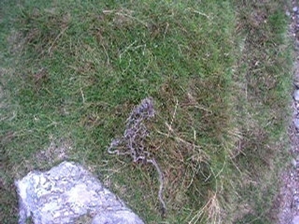 Montagne St Patrick - Conemara - Irlande