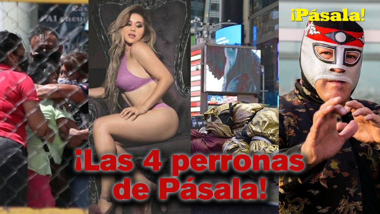 ¡YA ESTÁN AQUÍ LAS 4 PERRONAS DE PÁSALA!