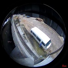 EL PERRO VOLADOR "LITERAL"