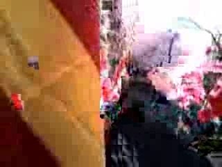 BALEARES. Manifestacion 13-II-08 y encierros (1 de 2)