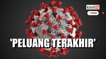 Mungkin 'peluang terakhir' untuk cari asal-usul Covid-19 - WHO