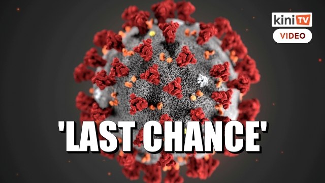 WHO says it may be 'last chance' to find COVID origins