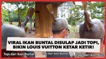 Viral Ikan Buntal Disulap Jadi Topi, Publik: Louis Vuitton Ketar-ketir Lihat Ini