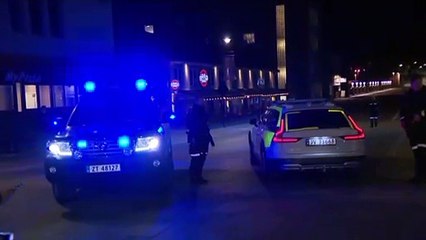 Νορβηγία: Πέντε νεκροί από την επίθεση με τόξο και βέλη