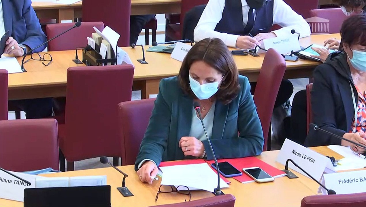 Commission des affaires étrangères : Examen des avis budgétaires sur le projet de loi de finances pour 2022  - Mercredi 13 octobre 2021