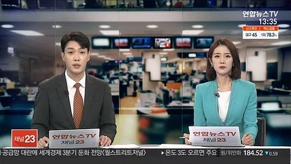 푸틴, 차기 대선 재출마?…"헌법상 문제없어"