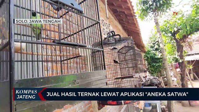 Jual Hasil Ternak Lewat Aplikasi Aneka Satwa