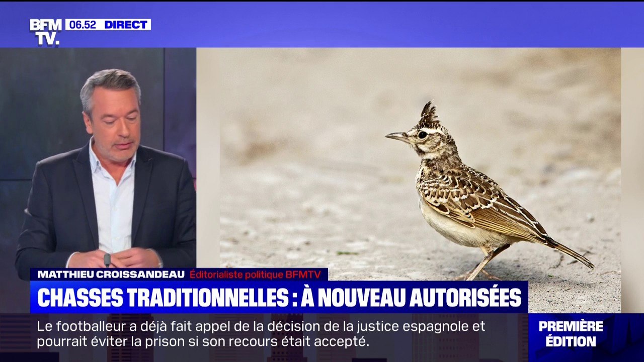 Certaines chasses "traditionnelles" vont être à nouveau autorisées