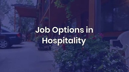 David Antico Talks About Job Options in Hospitality