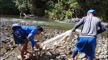 BINGUNG BUANG JALA DIMANA, SEMUA TEMPAT ADA IKAN -- IKAN RAJA