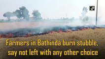 Farmers in Bathinda burn stubble, say not left with any other choice
