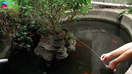 Simplest Ways To Make Mini Water Pump At Home