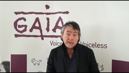 Plus d’excuses il faut interdire l’abattage sans étourdissement en région de Bruxelles-Capitale (Michel Vandenbosch /Gaia)