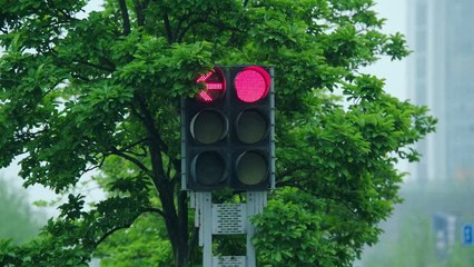 Miss Crow With Mr Lizard 2021 Episode 2 English Subbed