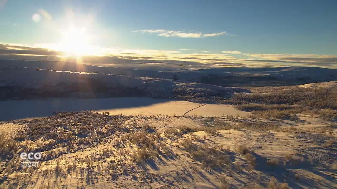 मूल निवासी बचा रहे हैं धरती