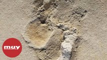 Encuentran las huellas de prehumanos más antiguas del mundo