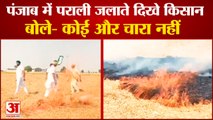 Punjab Farmers Start Stubble Burning| पंजाब में पराली जलाते दिखे किसान, सरकार पर मढ़ा जलाने का दोष