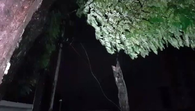 Bairro Cancelli fica sem energia elétrica após queda de fiação