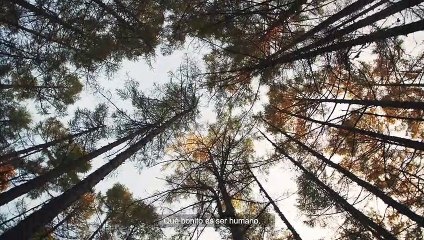 Programa para enfermos avanzados - Fundación la Caixa