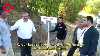 Adıyaman'da ‘kuduz’ karantinası
