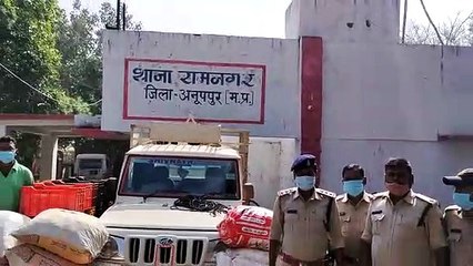 अवैध मादक पदार्थों के खिलाफ बड़ी कार्रवाई, 50 लाख का माल जब्त