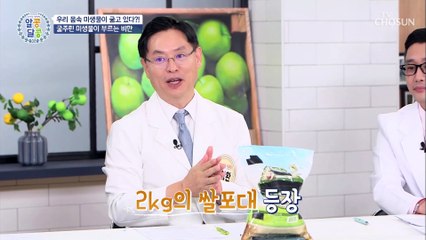 굶겨도 살이 찌개 만드는 내 몸속 미생물의 정체 TV CHOSUN 20211014 방송