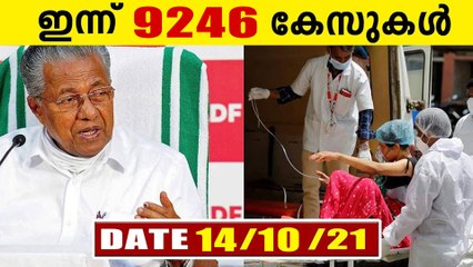 9246 New Covid Positive Cases In Kerala