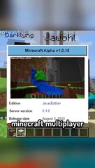 The oldest minecraft server