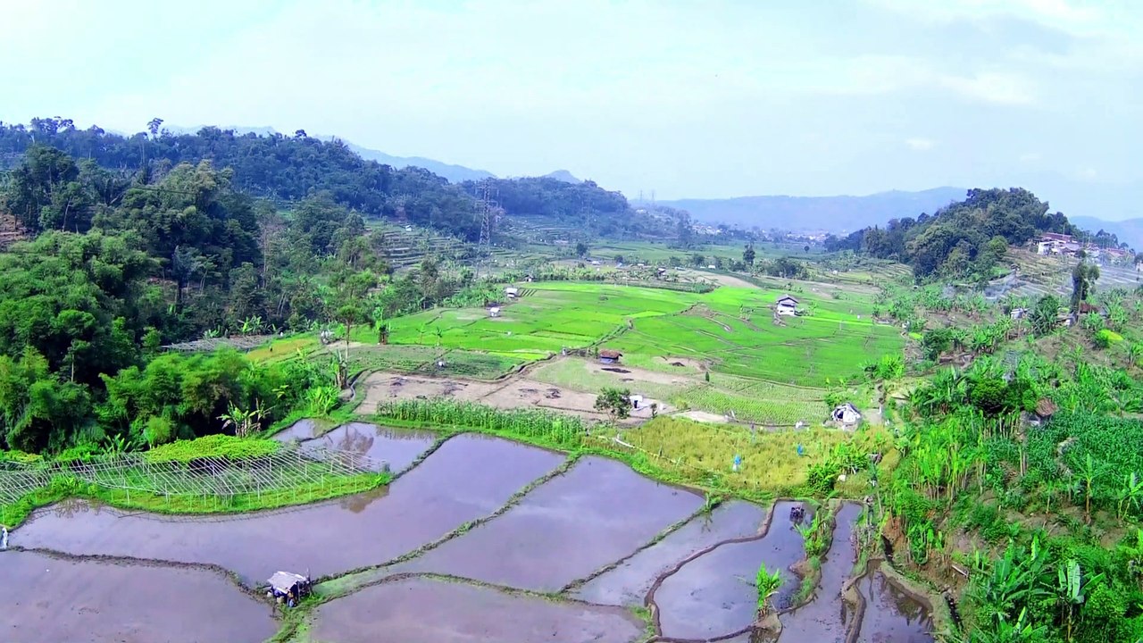 Drone Footage