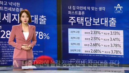 대출 대란에 놀란 정부, 중단됐던 전세·잔금대출 푼다