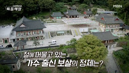 사찰에서 만난 뜻밖의 스타?!