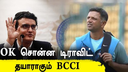 Indian Team-ன் இடைக்கால Coach ஆக செயல்பட சம்மதம் சொன்ன Rahul Dravid?