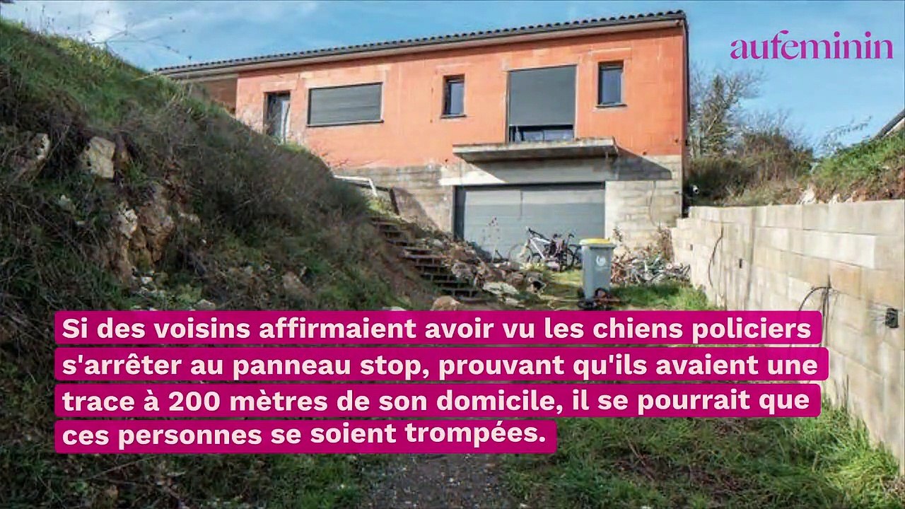 Delphine Jubillar : est-elle vraiment sortie le soir de sa disparition ?