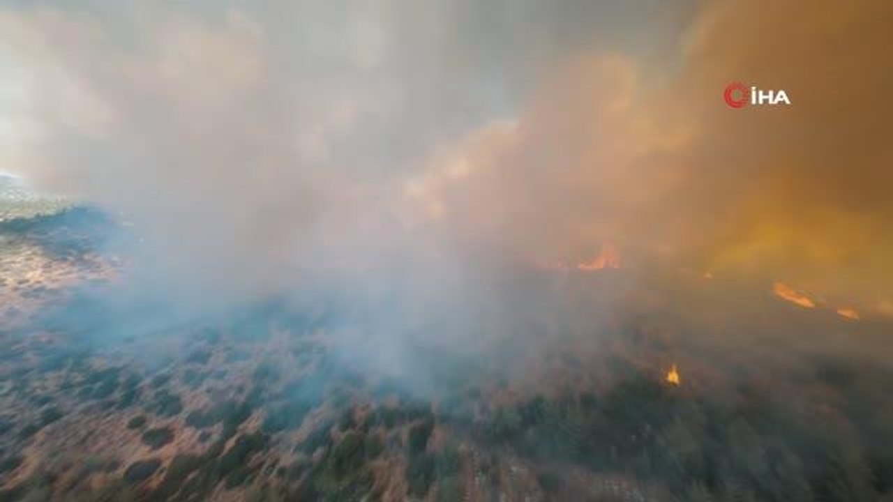Son dakika haberi: 'İklim değişikliği sürecinde orman yangınları" çalıştayı 2'nci gününde