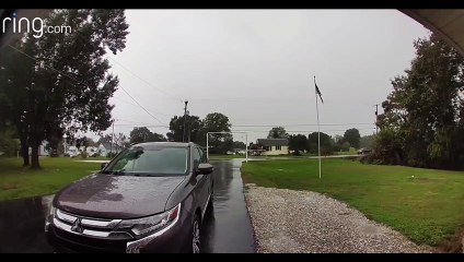Lightning Shocks Nearby Tree