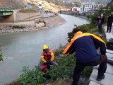 Çoruh nehrine düşen kediyi AFAD ekipleri kurtardı