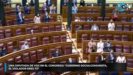 Una diputada de Vox en el Congreso: "Gobierno socialcomunista, el violador eres tú"