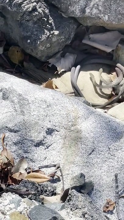 Argument Keeps Going Around in Circles