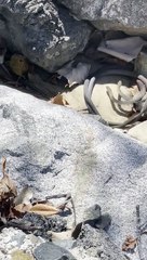 Argument Keeps Going Around in Circles