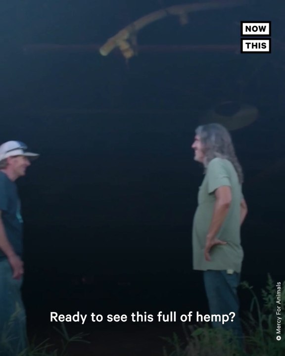 Family Turns Chicken Farm Into Hemp Farm and Animal Sanctuary