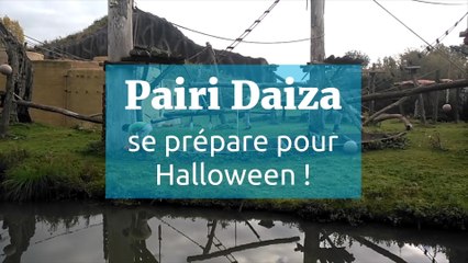 Pairi Daiza se prépare pour Halloween !