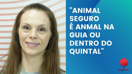 PAPO TN: PRESIDENTE DA SOPRAP FALA COMO EVITAR ACIDENTES COM PETS
